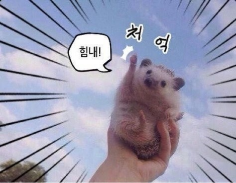コメントの添付画像