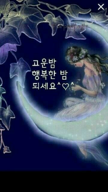 댓글 첨부 이미지