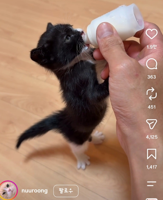 コメントの添付画像
