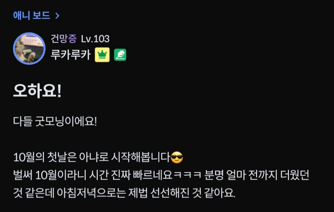 댓글 첨부 이미지