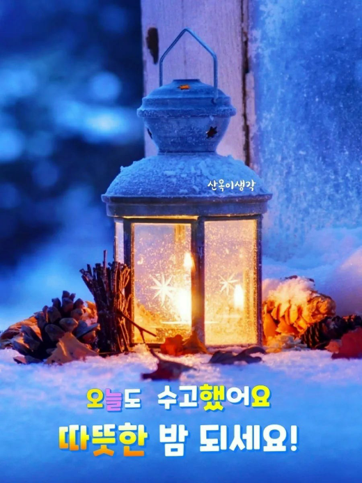 댓글 첨부 이미지