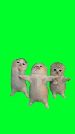 재밌겠다!