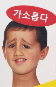 댓글 첨부 이미지