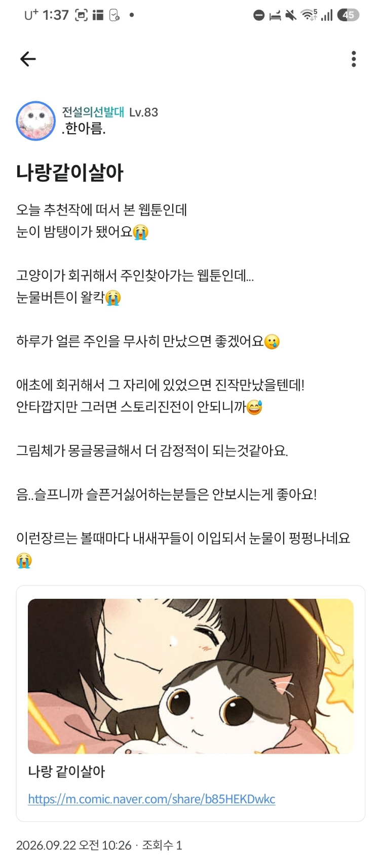 댓글 첨부 이미지
